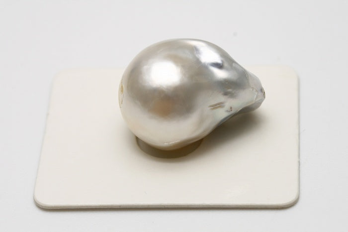 南洋白蝶真珠パールルース 両穴 21×15mm ホワイトカラー e0118ryo01 