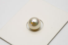 画像をギャラリービューアに読み込む, アコヤ真珠パールルース　7.5-8.0mm　ホワイトピンクカラー　e0525al01
