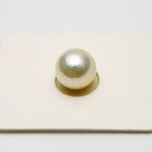 画像をギャラリービューアに読み込む, アコヤ真珠パールルース　9.5-10.0mm　無調色　ホワイトピンクカラー　e0802al01
