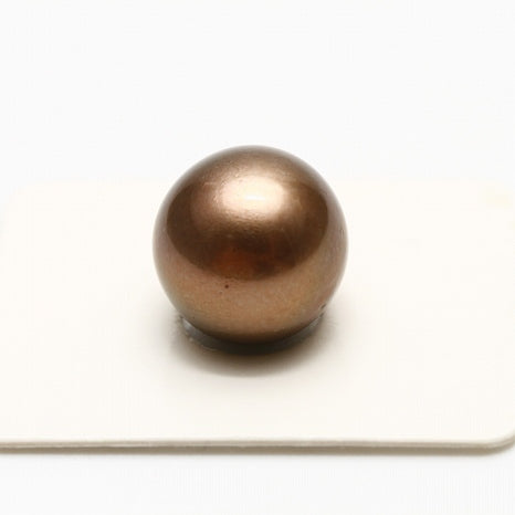 タヒチ黒蝶真珠パールルース　片穴　14mm　チョコレートカラー　f0612tl01