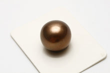 Load image into Gallery viewer, タヒチ黒蝶真珠パールルース　片穴　14mm　チョコレートカラー　f0612tl01
