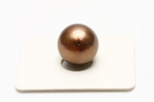 Load image into Gallery viewer, タヒチ黒蝶真珠パールルース　片穴　14mm　チョコレートカラー　f0612tl01
