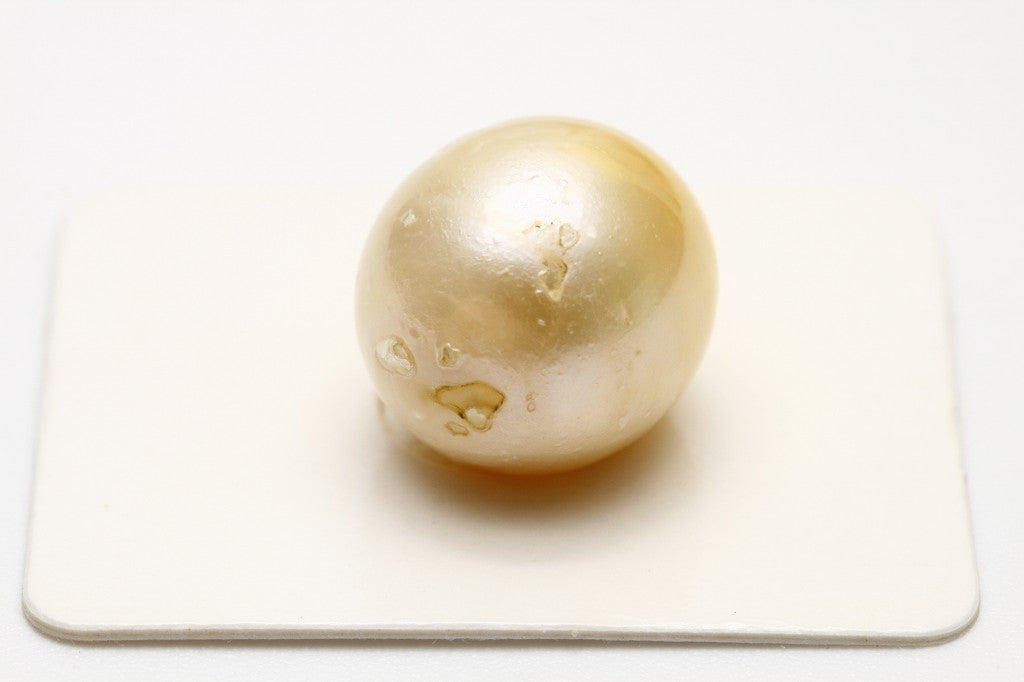 南洋白蝶真珠パールルース 15×14mm ナチュラルゴールドカラー – eiho pearl