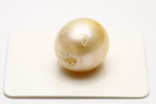 画像をギャラリービューアに読み込む, 南洋白蝶真珠パールルース　15×14mm　ナチュラルゴールドカラー
