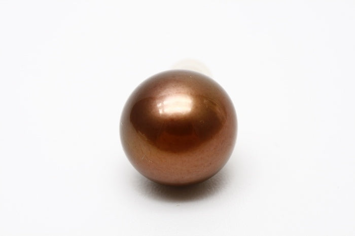 タヒチ黒蝶真珠パールピアス　シングルデザイン　12mm　チョコレートカラー　K18製 - eiho pearl