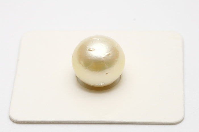 南洋白蝶真珠パールルース　12mm　クリームカラー　e0118nl01