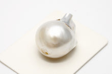 画像をギャラリービューアに読み込む, 南洋白蝶真珠パールルース　両穴　21×15mm　ホワイトカラー　e0118ryo01
